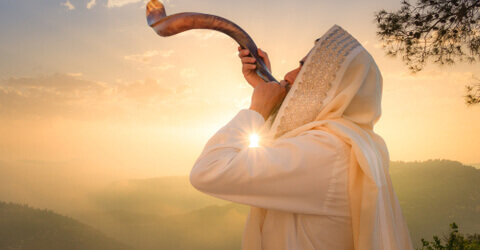 אוחילה לאל